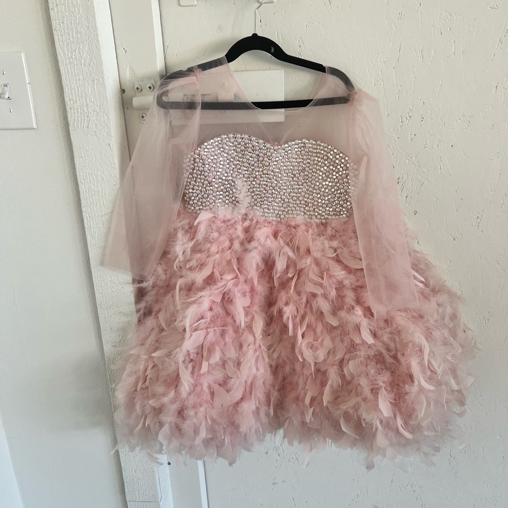 Pink Feathered Dress with Rhinestone Bodice